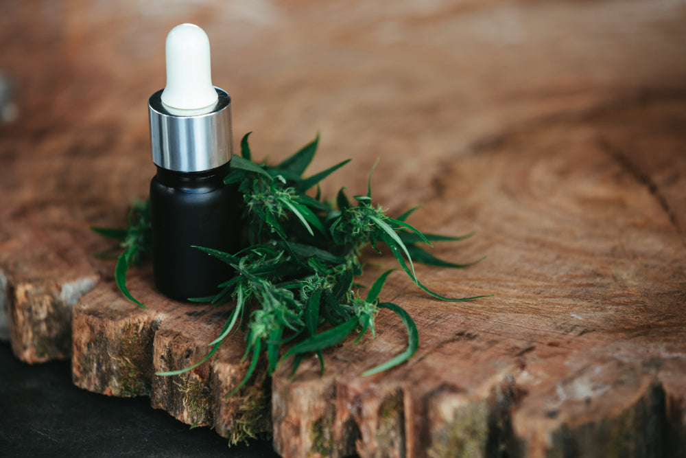 CBD in Deutschland 2026: Rechtslage, Unterschiede und Qualitätsmerkmale