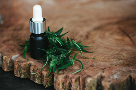 CBD in Deutschland 2026: Rechtslage, Unterschiede und Qualitätsmerkmale
