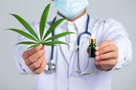 Cannabispflanze und Hanföl als Symbol für die Forschung zu Cannabis und Schmerzen