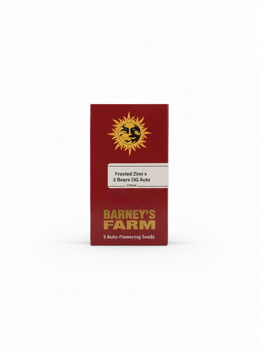 Frosted Zinn x 3 Bears OG Auto