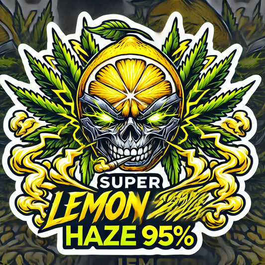 Super Lemon Haze 95%